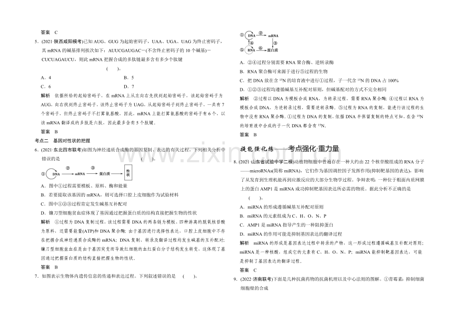 2021高考生物(人教版-山东专用)总复习作业：必修2-第2单元-第3讲-基因的表达.docx_第2页