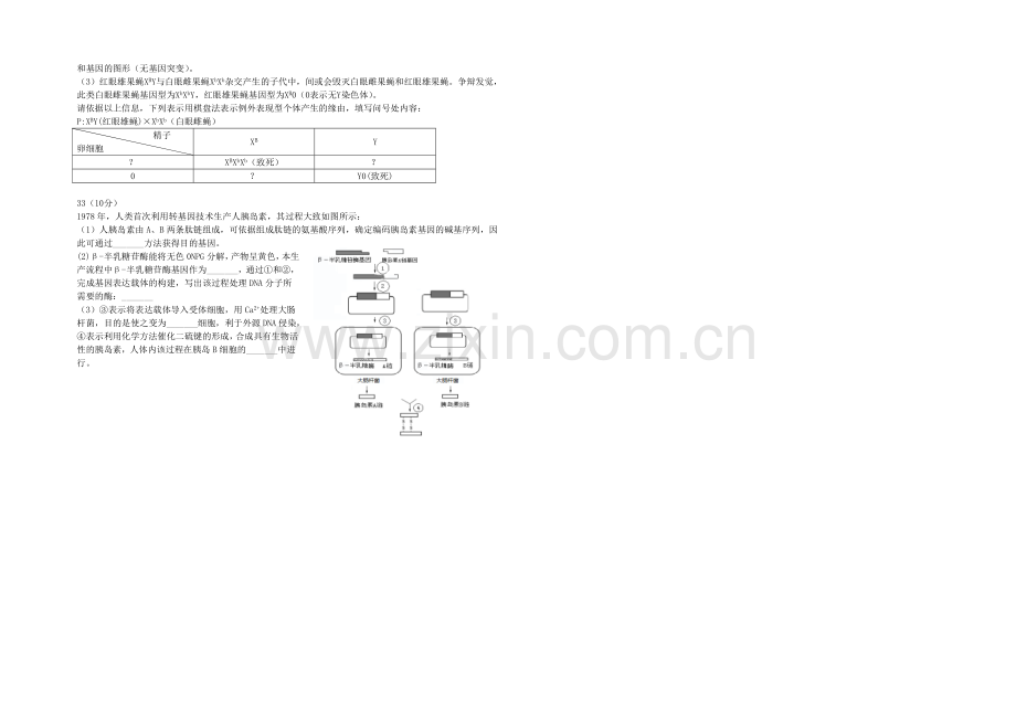福建省福州市2021届高三5月适应性考试生物试卷-Word版含答案.docx_第2页