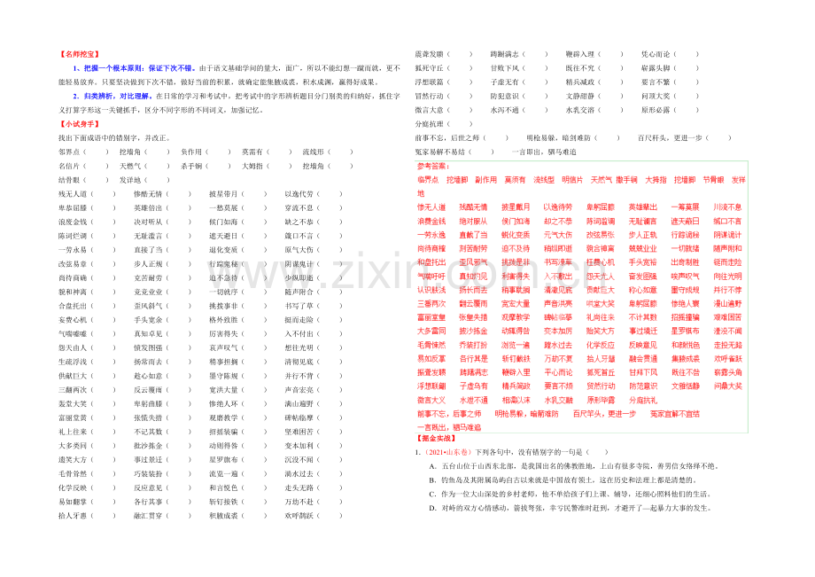 2021年高考语文考点总动员考向06-识记同音字(解析版).docx_第2页