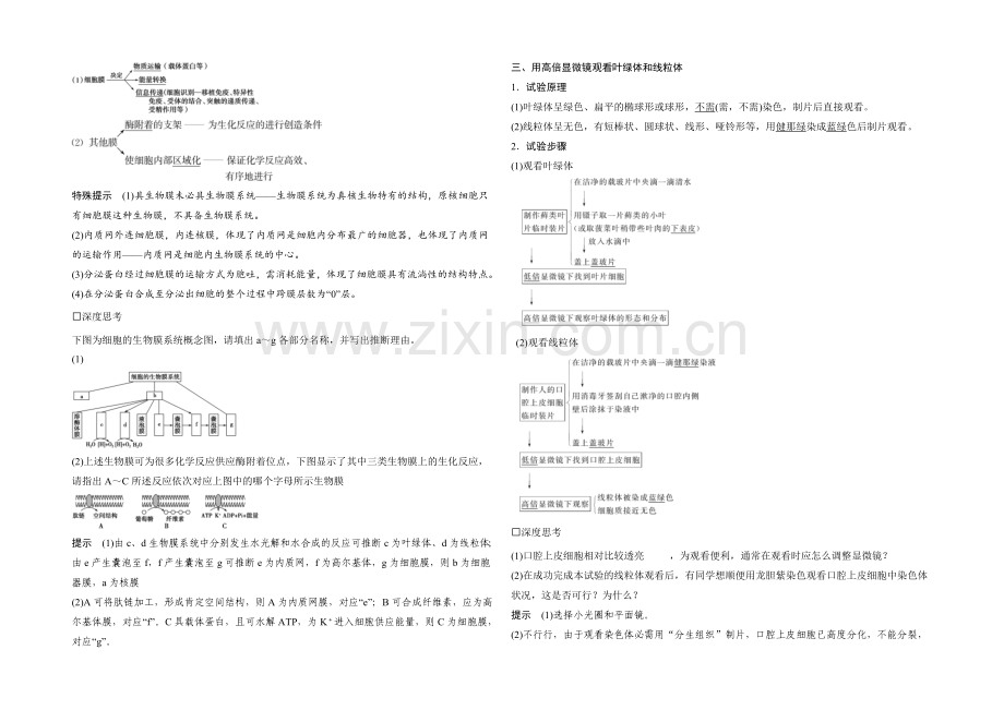 2022年高三生物(人教版)一轮复习-基础课时案6-细胞器与生物膜系统-基础回顾.docx_第2页