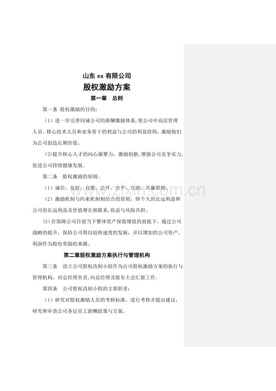 山东XX公司股权激励方案.doc_第1页