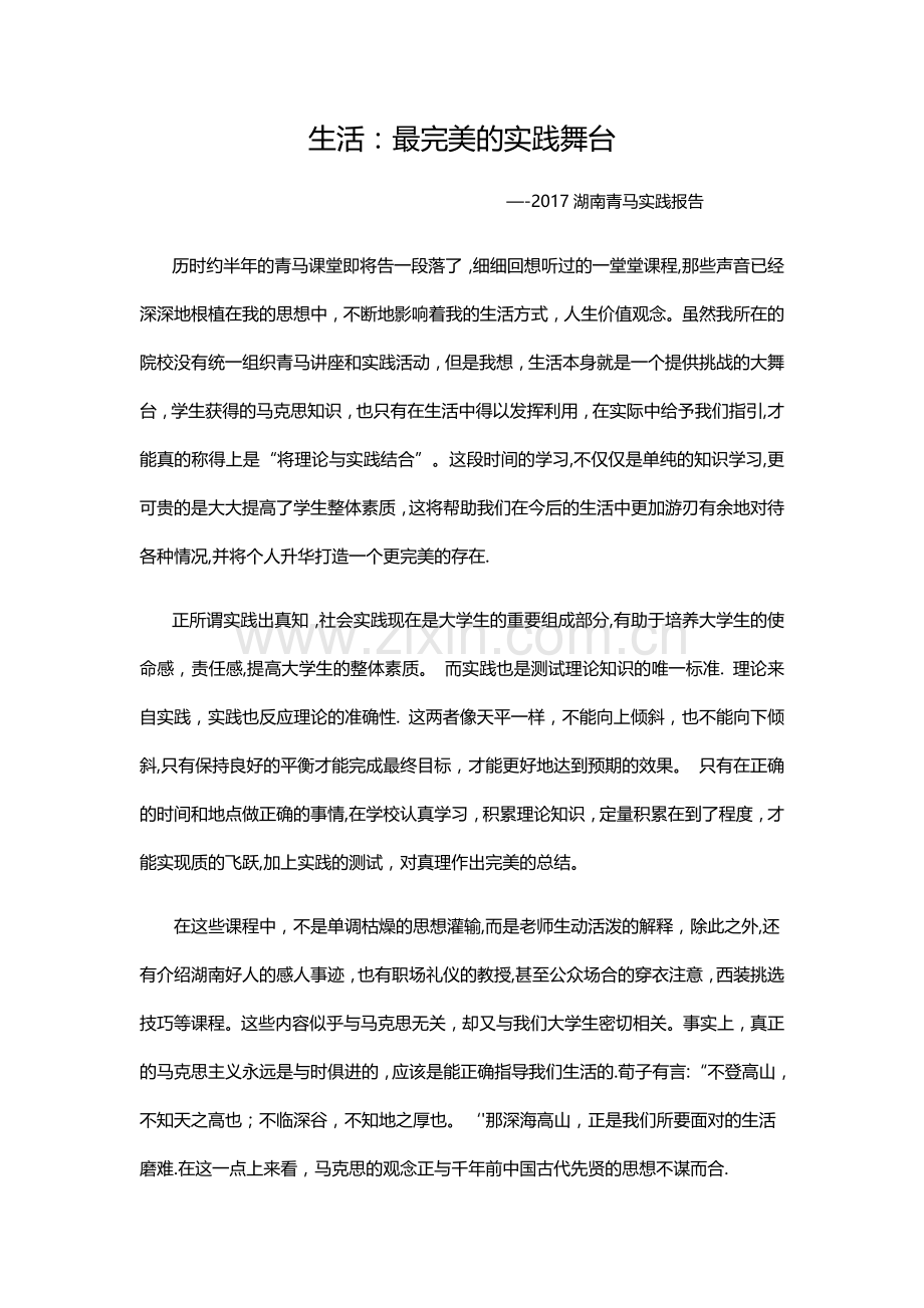 湖南青马实践报告.doc_第1页