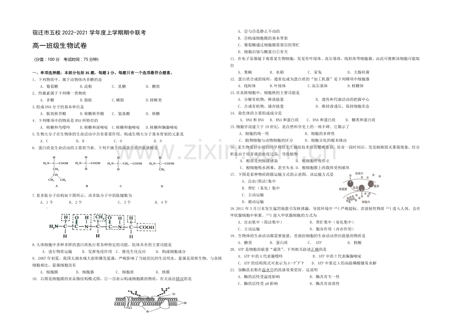 江苏省宿迁市五校2020-2021学年高一上学期期中联考试卷-生物-Word版含答案.docx_第1页