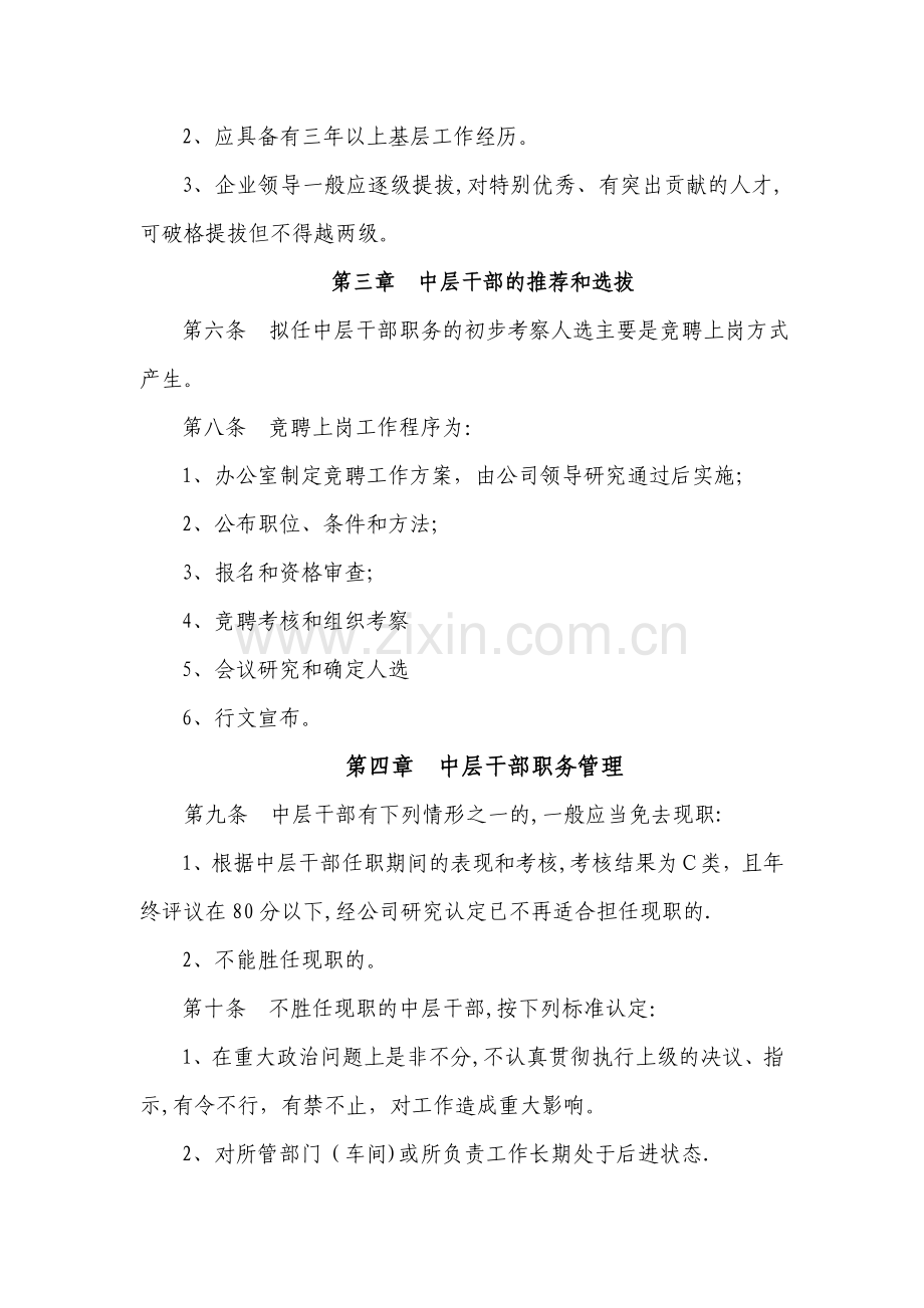 中层干部管理办法.doc_第2页