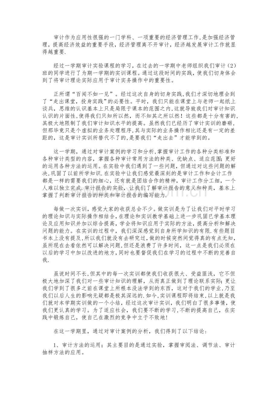 审计实验报告总结.doc_第1页