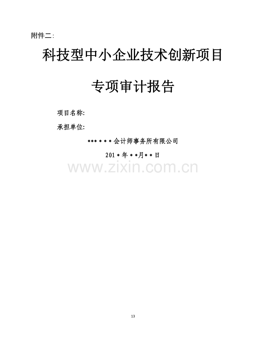 科技型中小企业技术创新项目验收专项审计报告.docx_第1页