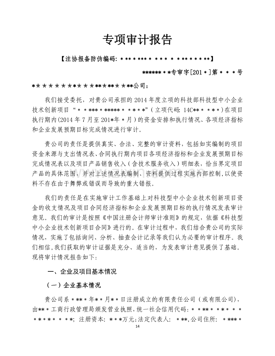 科技型中小企业技术创新项目验收专项审计报告.docx_第2页