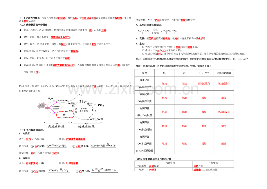 2022届高三生物苏教版第一轮复习知识梳理-必修一-4.2光合作用.docx_第2页