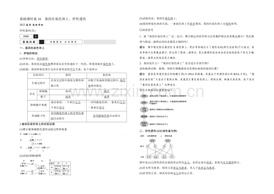 2022年高三生物(人教版)一轮复习-基础课时案16-基因在染色体上、伴性遗传-基础回顾.docx_第1页