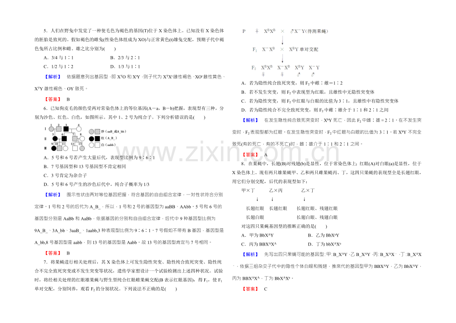 2022新课标高考生物总复习专题强化卷-推理探究类遗传问题-.docx_第2页
