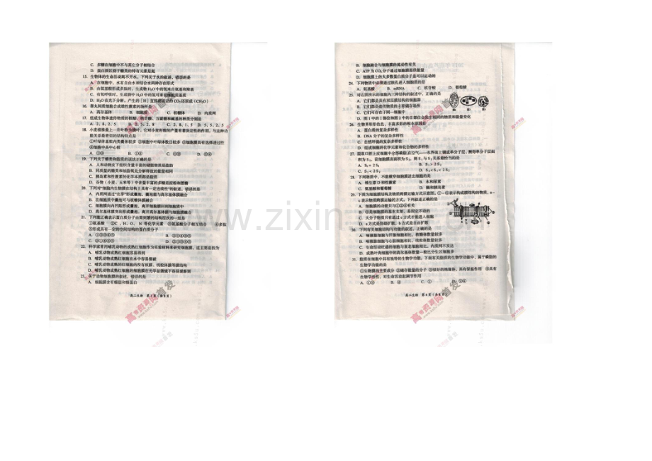 辽宁省葫芦岛市2020-2021学年高二下学期期末考试-生物-扫描版含答案.docx_第2页