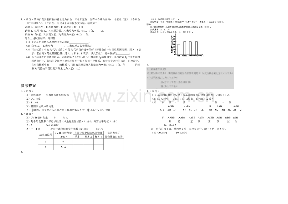 高三理综实验专题之生物(19)Word版含答案.docx_第2页