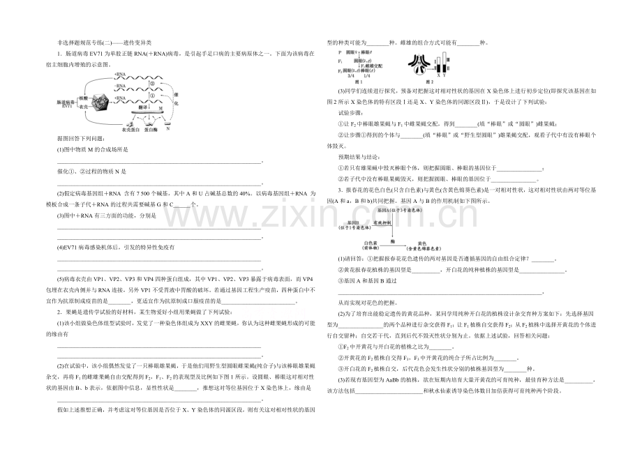 2021年高考生物二轮复习-非选择题规范专练(二)——遗传变异类.docx_第1页