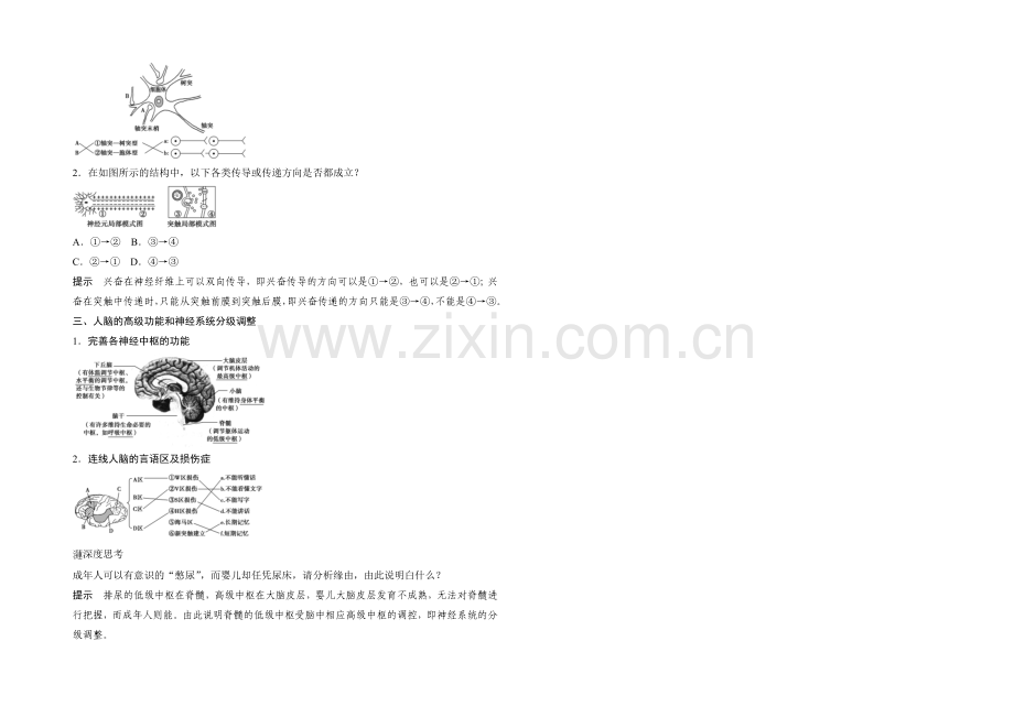 2022年高三生物(人教版)一轮复习-基础课时案27-神经调节-基础回顾.docx_第2页