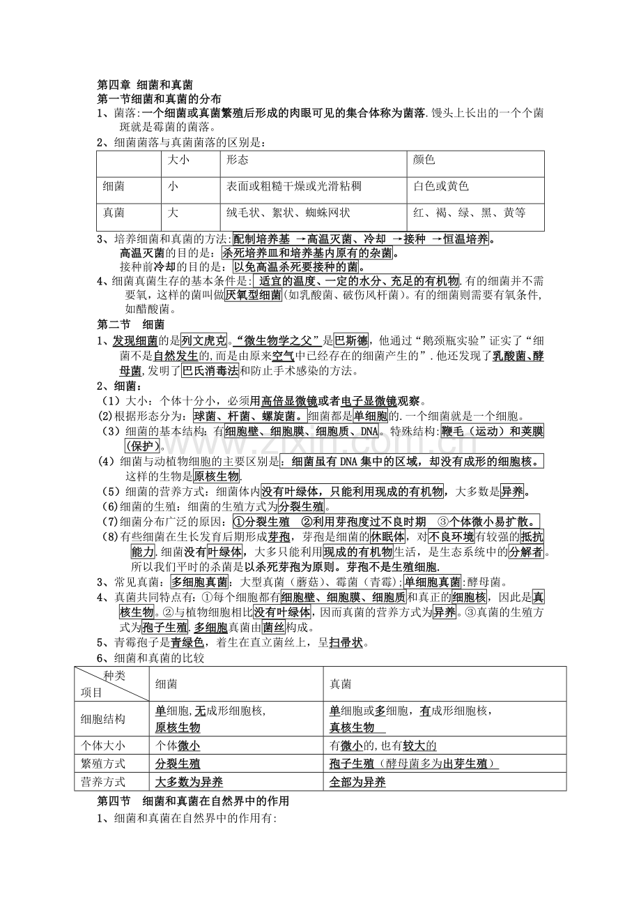 第四章-细菌和真菌——思维导图.doc_第1页