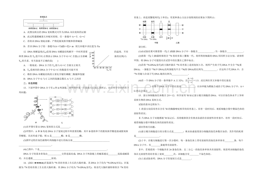 2022届高三生物一轮复习课时跟踪检测(十九)-DNA分子的结构、复制与基因的本质-.docx_第2页