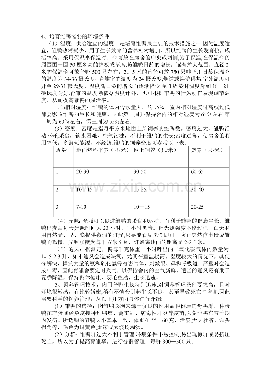 肉鸭的饲养管理技术.docx_第2页