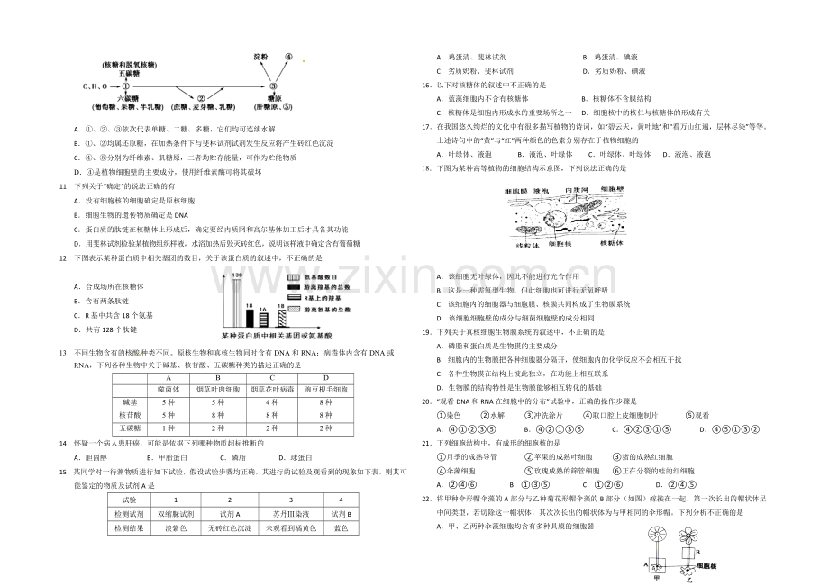 湖北省孝感高级中学2020-2021学年高一上学期期末考试生物试题Word版含答案.docx_第2页