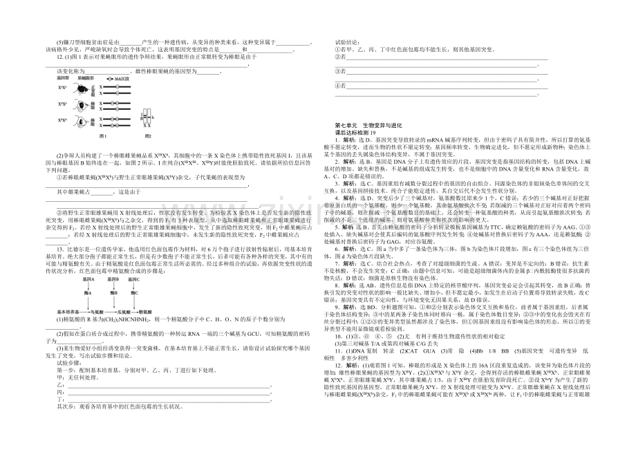 2021高考总复习优化方案生物-课时课后达标检测19生物的变异-Word版含解析.docx_第2页