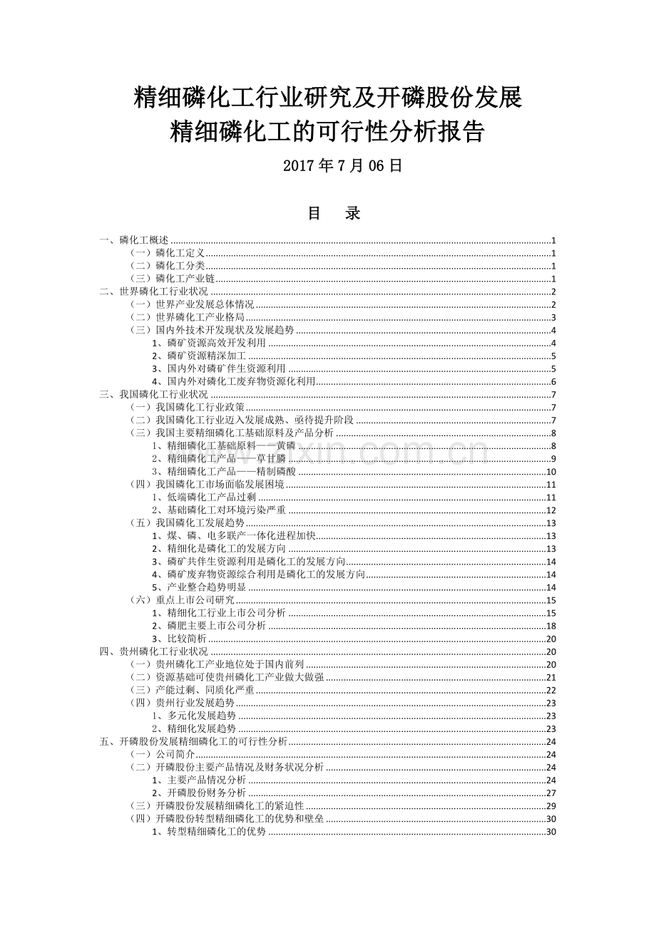 精细磷化工行业研究与开磷集团转型升级可行性分析报告.docx_第1页