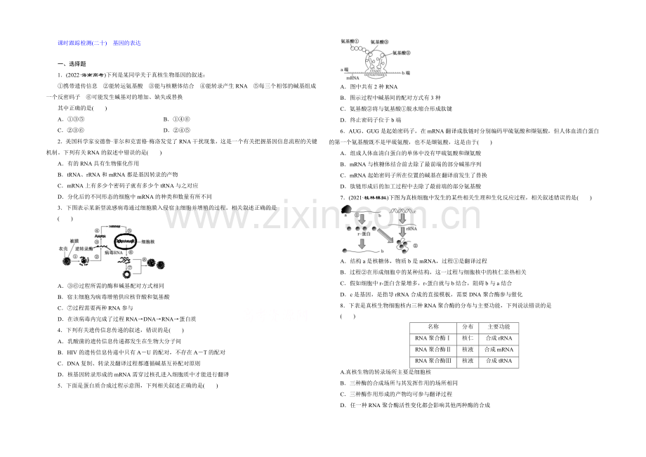 2022届高三生物一轮复习课时跟踪检测(二十)-基因的表达-.docx_第1页