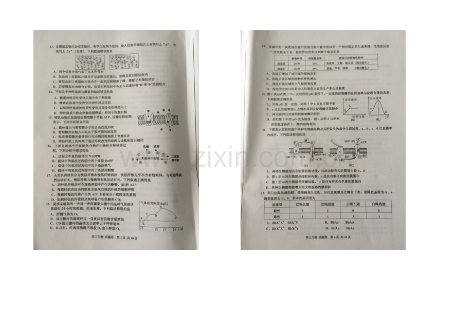 浙江省嘉兴市2021届高三上学期期末考试生物试卷-扫描版含答案.docx_第2页