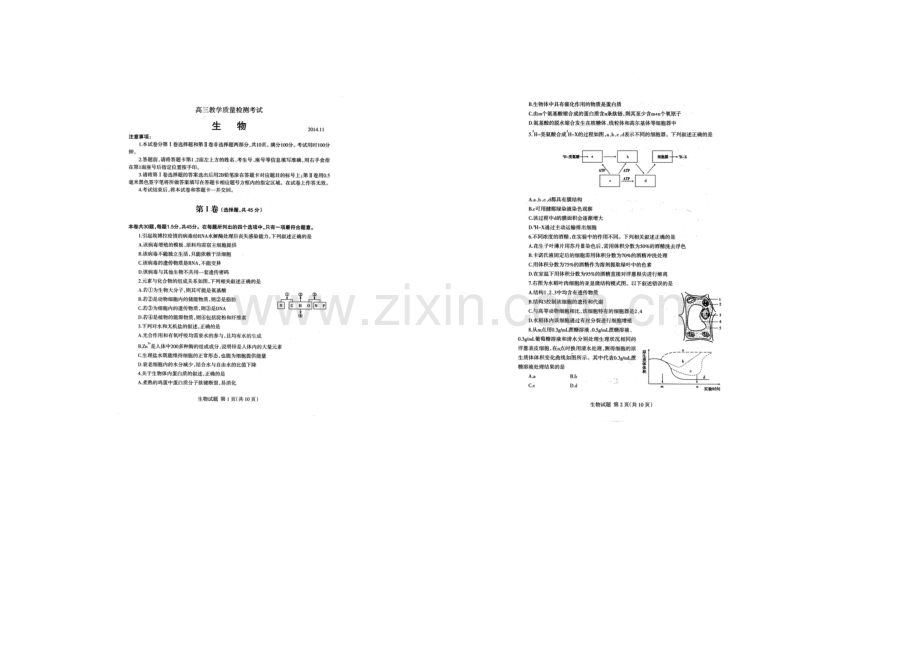 山东省临沂市2021届高三上学期教学质量检测(期中)考试生物试题扫描版含答案.docx_第1页