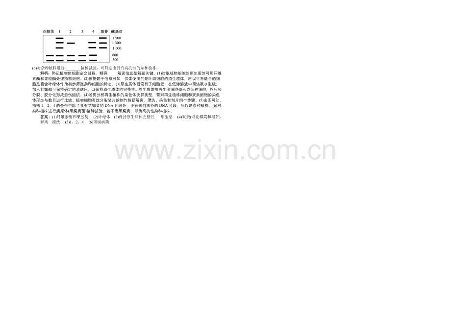 2021高考总复习优化方案生物高考真题集锦-第十一单元-专题30-克隆技术-Word版含解析.docx_第2页