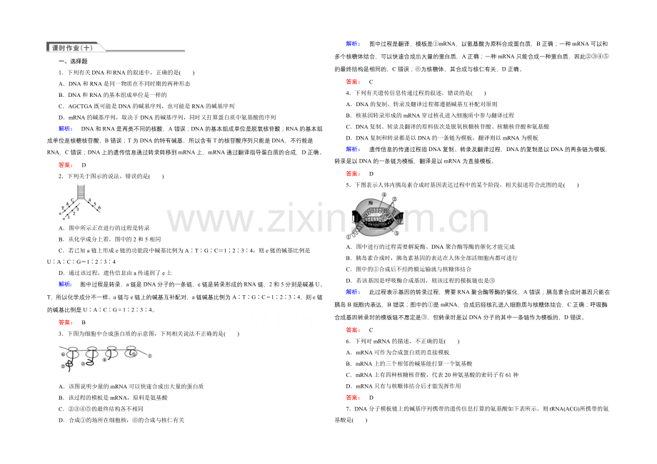 《金版新学案》高中生物(必修二)新课标同步练习-课时作业10.docx_第1页