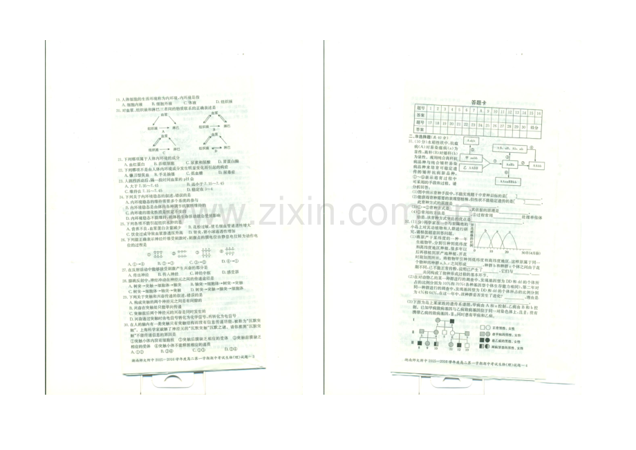 湖南师大附中2021-2022学年高二上学期期中考试-生物(理)-扫描版含解析.docx_第2页