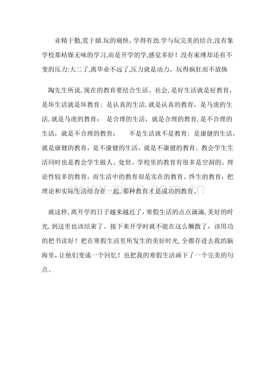 大学生寒假生活总结.doc_第2页