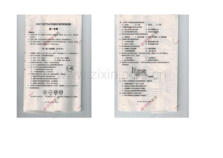 辽宁省葫芦岛市2020-2021学年高一下学期期末考试-生物-扫描版含答案.docx_第1页