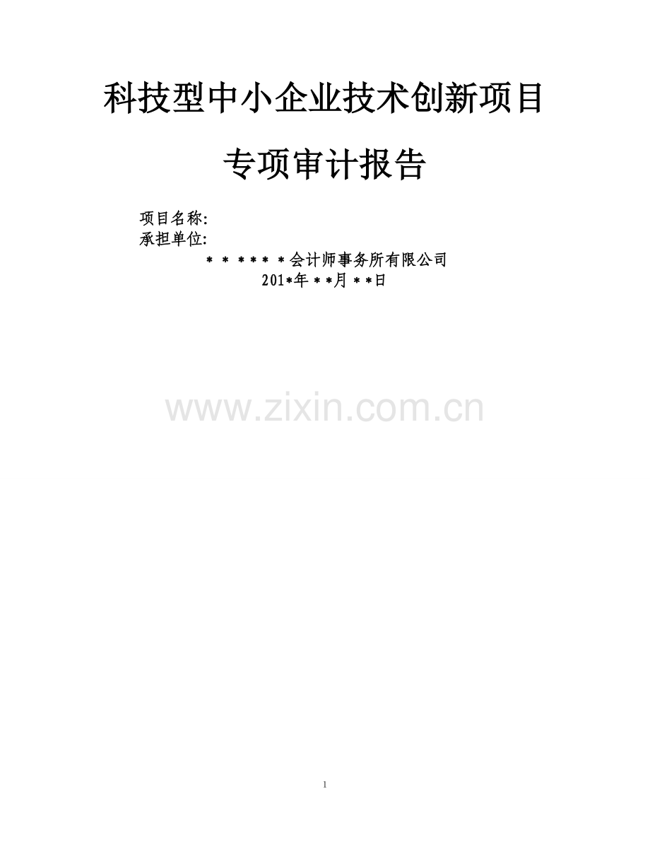 科技型中小企业技术创新项目-审计报告-模板.doc_第1页
