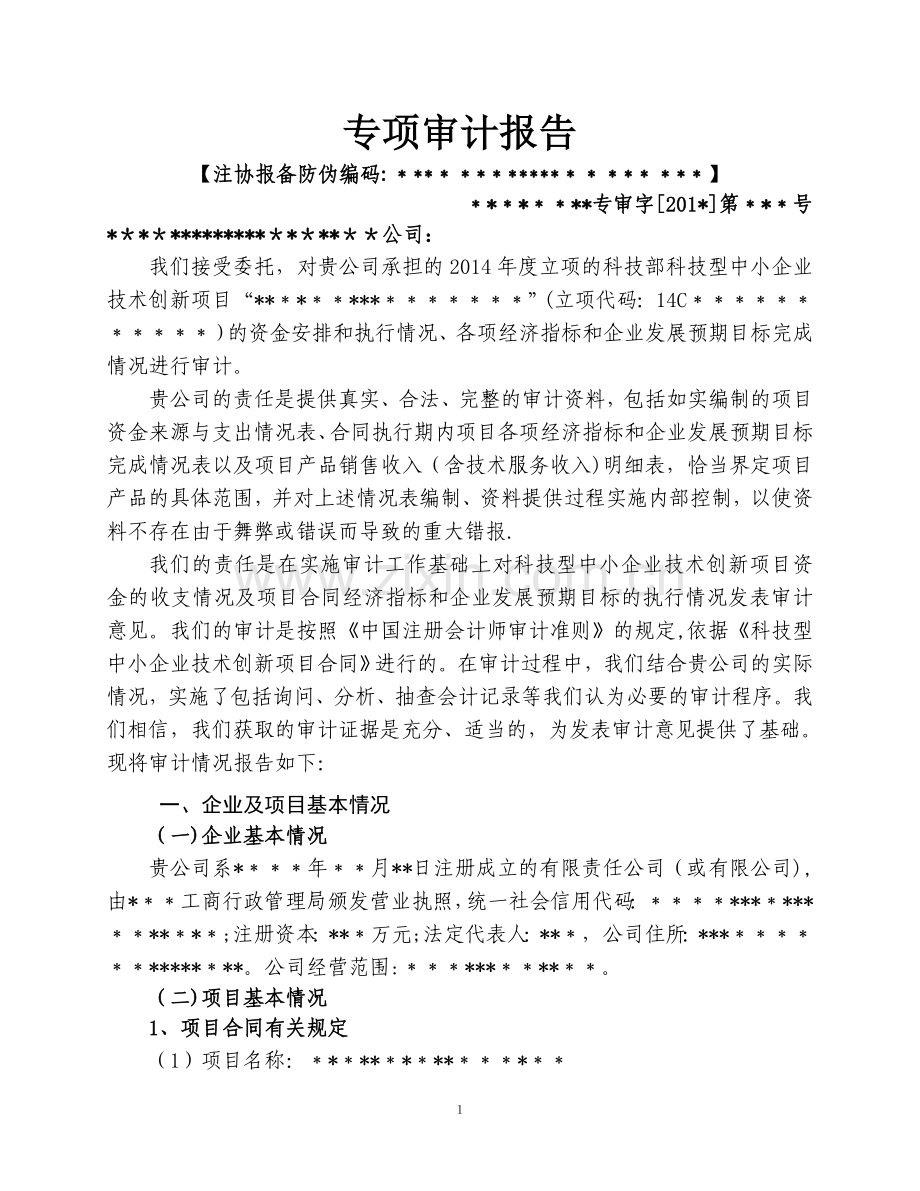 科技型中小企业技术创新项目-审计报告-模板.doc_第2页