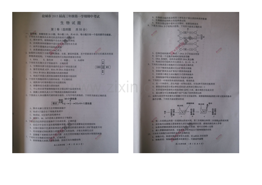 江苏省盐城市2021届高三上学期期中考试-生物-扫描版含答案.docx_第1页