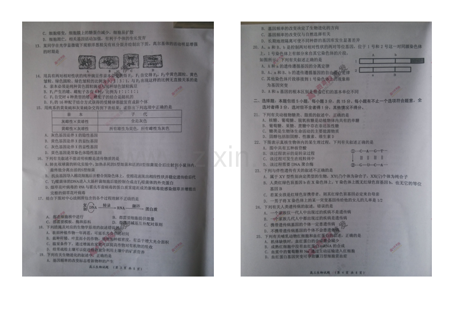 江苏省盐城市2021届高三上学期期中考试-生物-扫描版含答案.docx_第2页