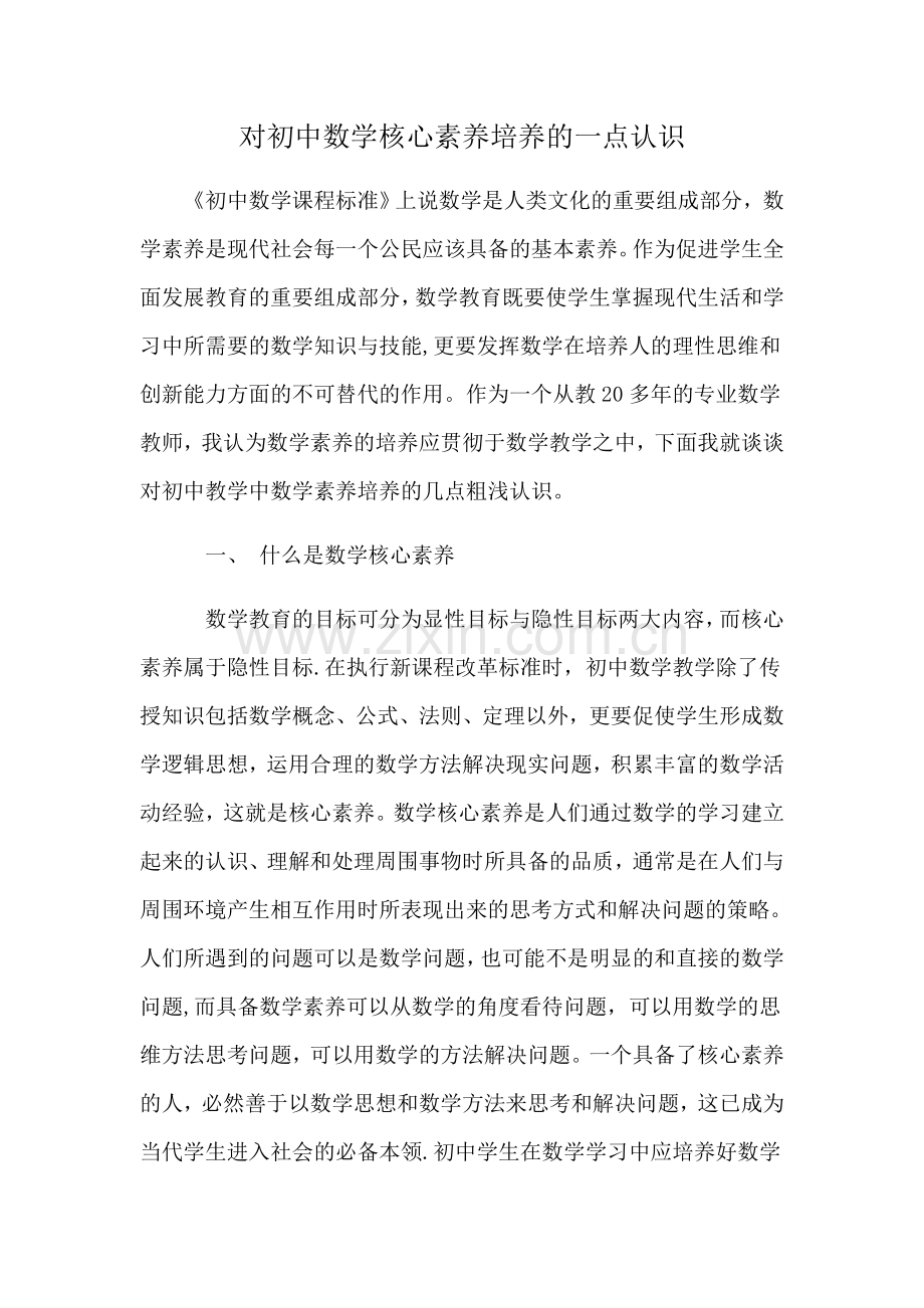 浅谈初中数学核心素养.doc_第1页