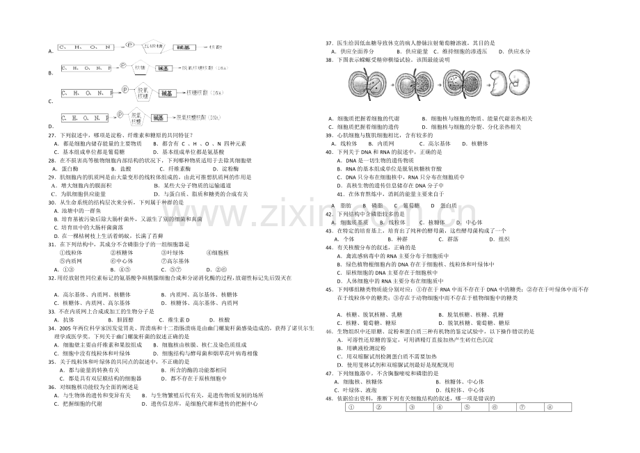 广东省广州市执信中学2020-2021学年高一上学期期中考试生物-Word版含答案.docx_第2页