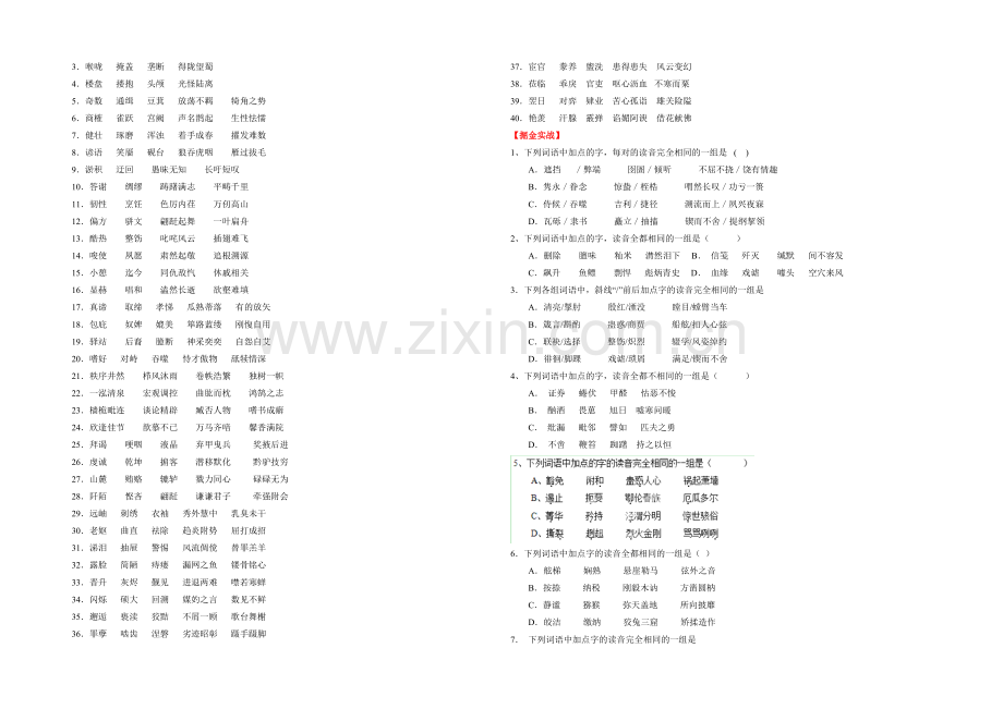 2021年高考语文考点总动员考向05-识记音近字(原卷版).docx_第2页