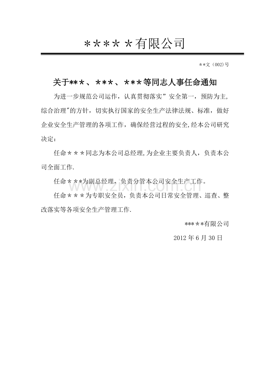 安全生产管理组织机构、人员任命书.doc_第2页