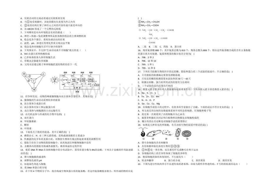 【Ks5u发布】湖北省荆州市松滋二中2022届高三上学期期中考试生物试题-Word版含答案.docx_第2页