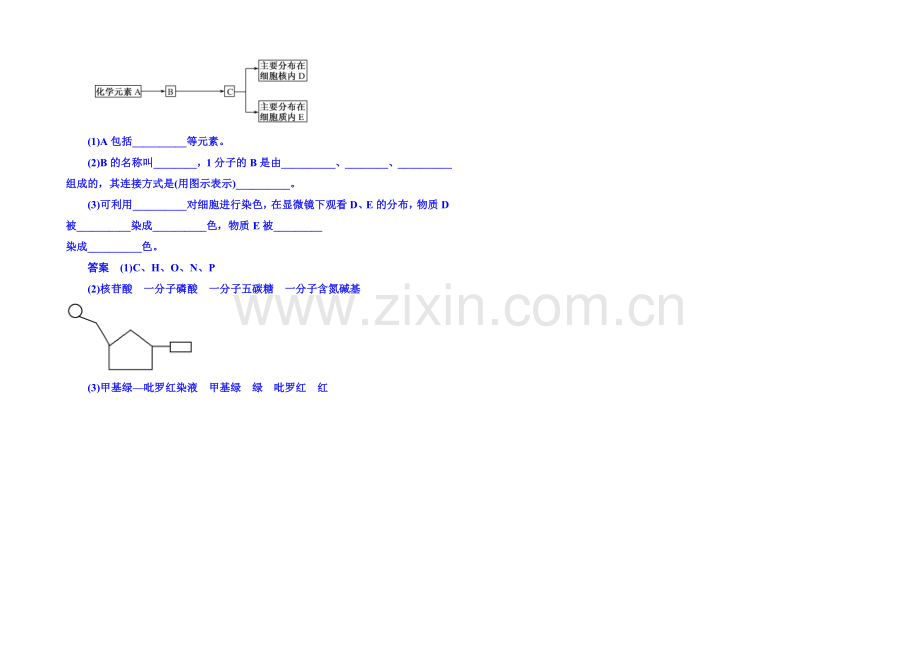2020-2021学年高中生物随堂巩固训练必修一-2-3组成细胞的分子.docx_第2页