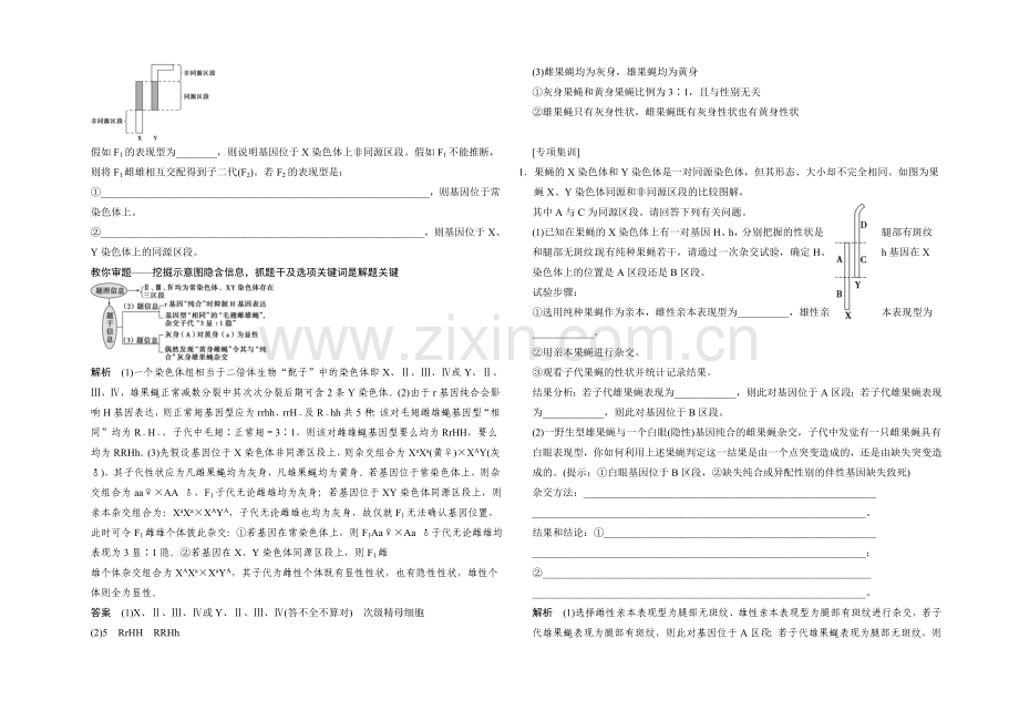 2021高考生物(人教版-山东专用)总复习教学案：培优讲堂(3)——基因位置的确认.docx_第2页