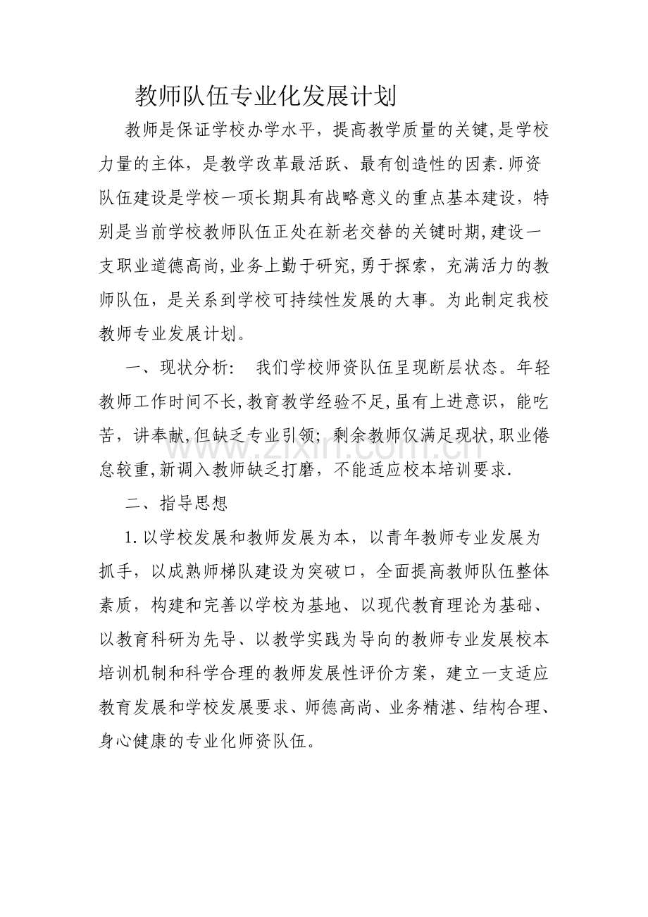 教师队伍专业化发展计划.doc_第1页
