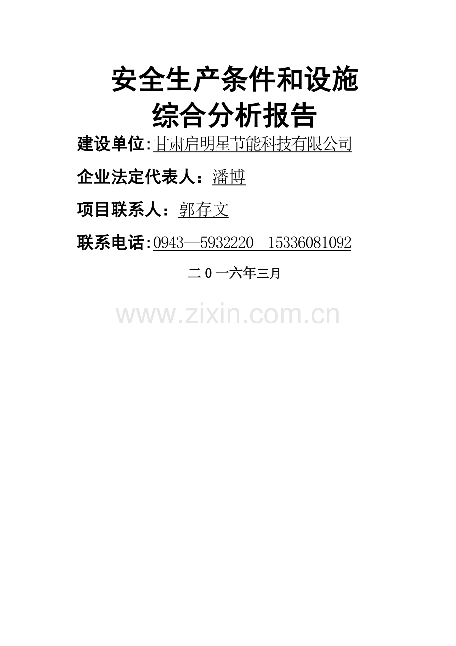 无极灯项目安全条件和设施综合分析报告.doc_第1页