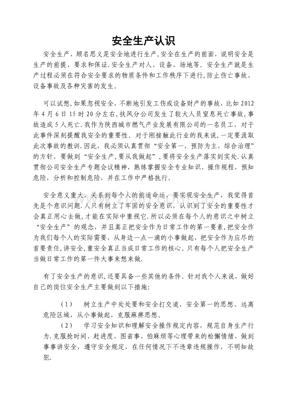 对安全生产工作的认识.doc_第1页
