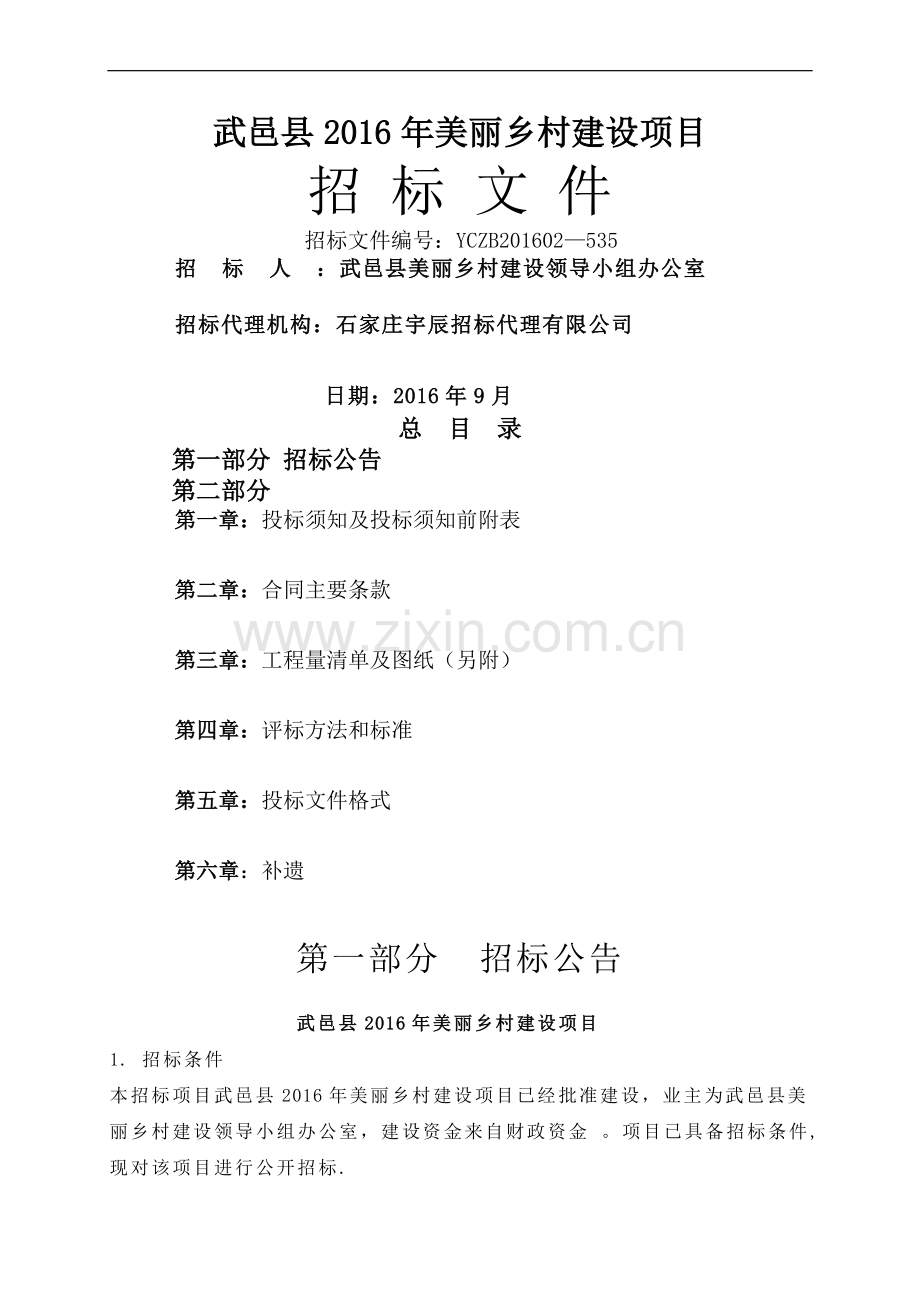 美丽乡村招标文件.doc_第1页