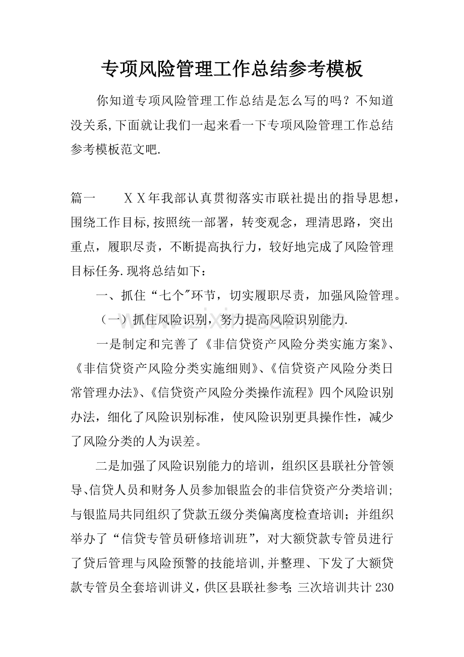 专项风险管理工作总结参考模板.docx_第1页