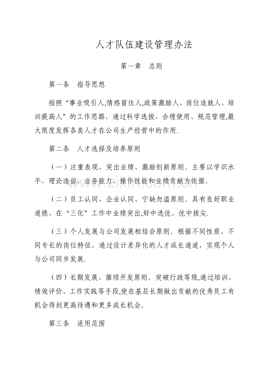 人才队伍建设管理办法.docx_第1页