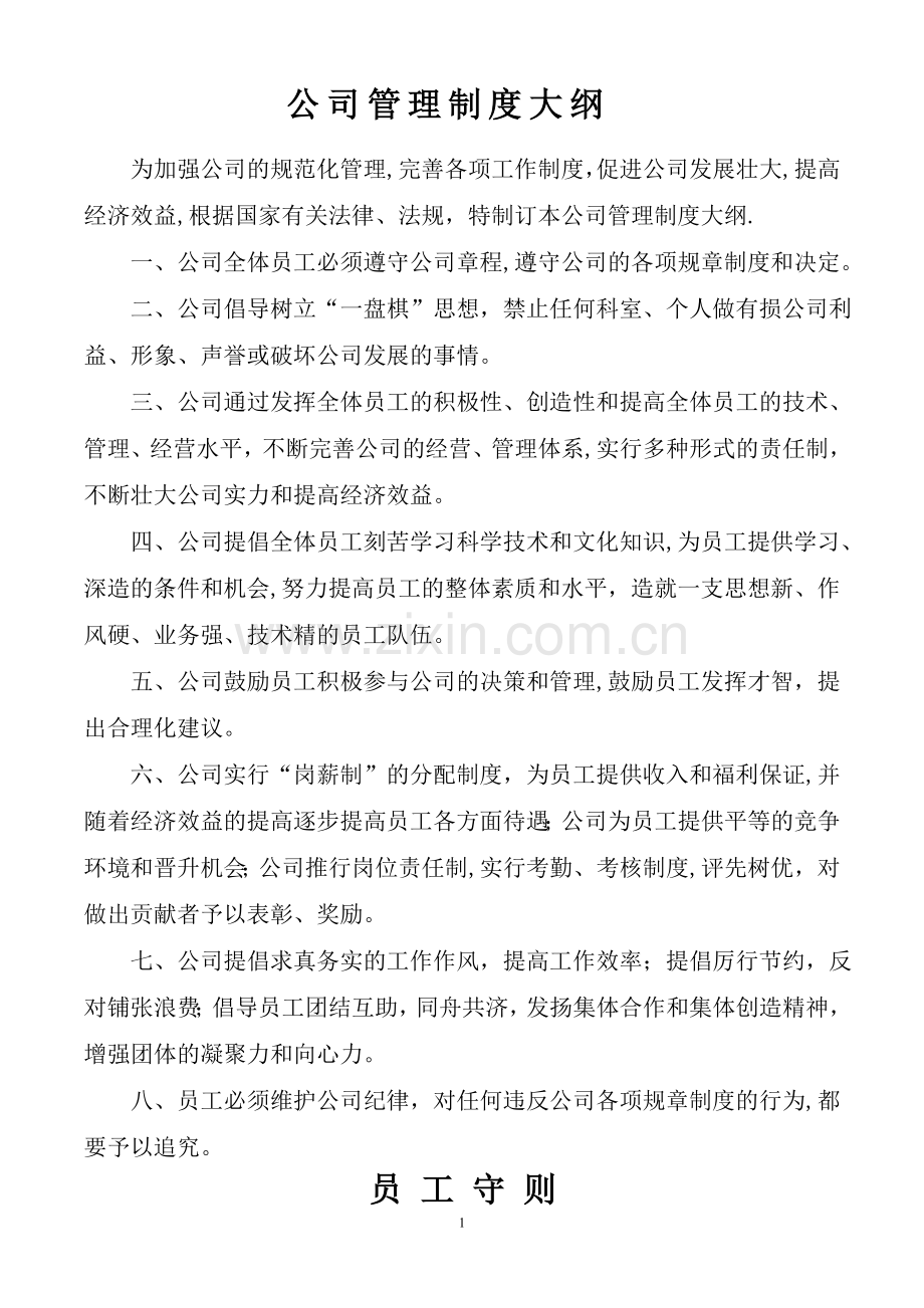 自来水公司管理制度大纲...doc_第1页